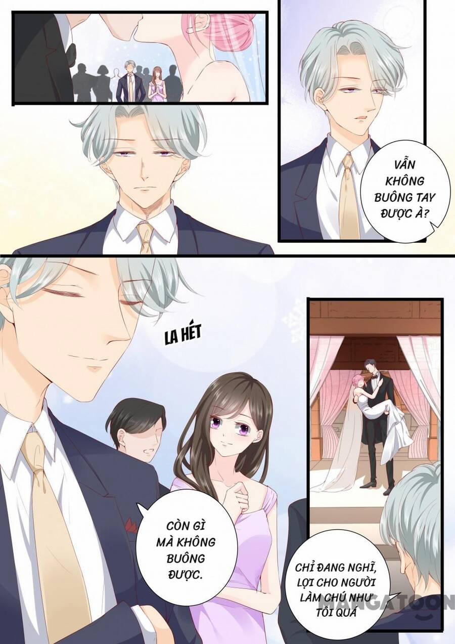 Đế Thiếu Đừng Mạnh Quá 333 trang 3