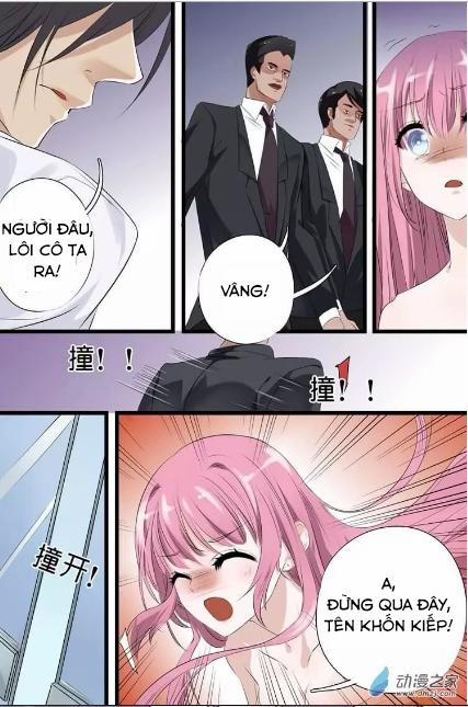 Đế Thiếu Đừng Mạnh Quá 4 trang 7