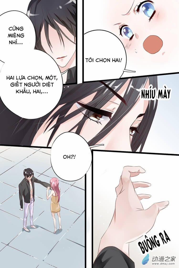 Đế Thiếu Đừng Mạnh Quá 5 trang 4