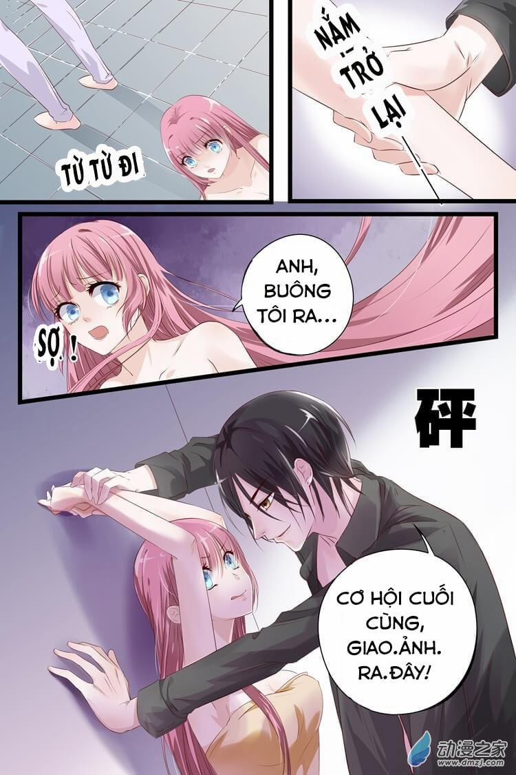 Đế Thiếu Đừng Mạnh Quá 5 trang 6