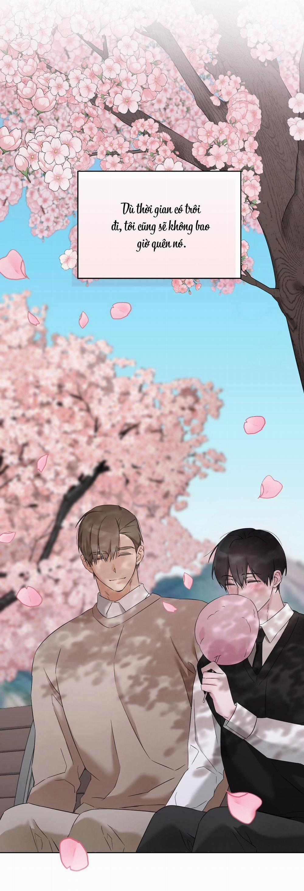 Dễ Thương Là Lỗi Của Tôi Sao? 11 trang 66