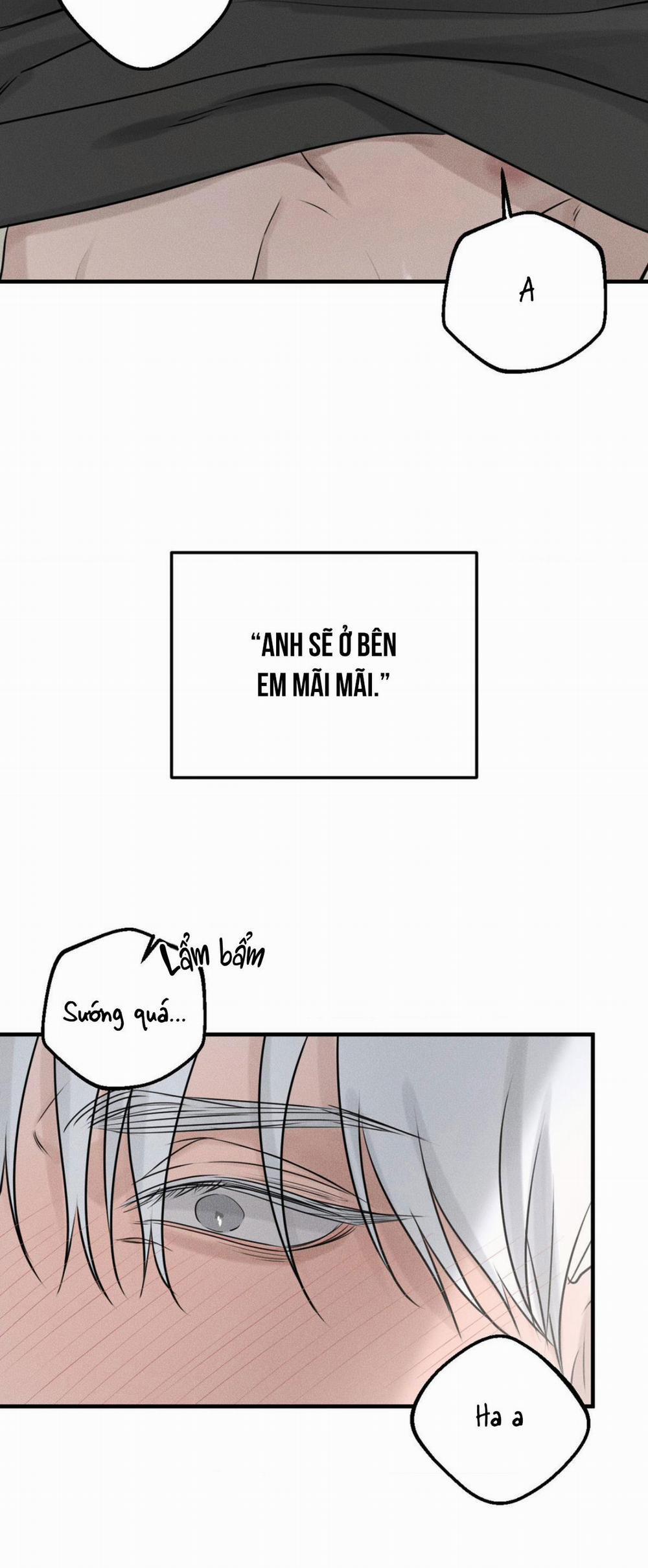 DEAR, TEDDY BEAR 10 trang 16