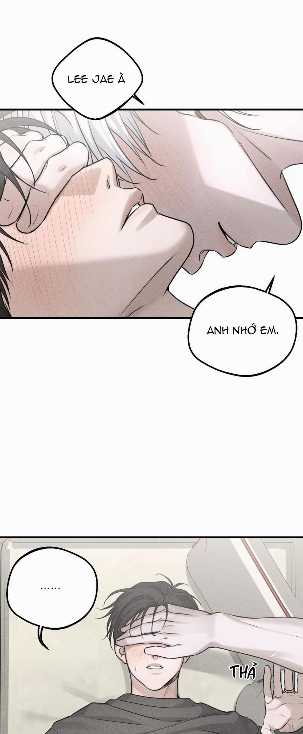 DEAR, TEDDY BEAR 10 trang 23