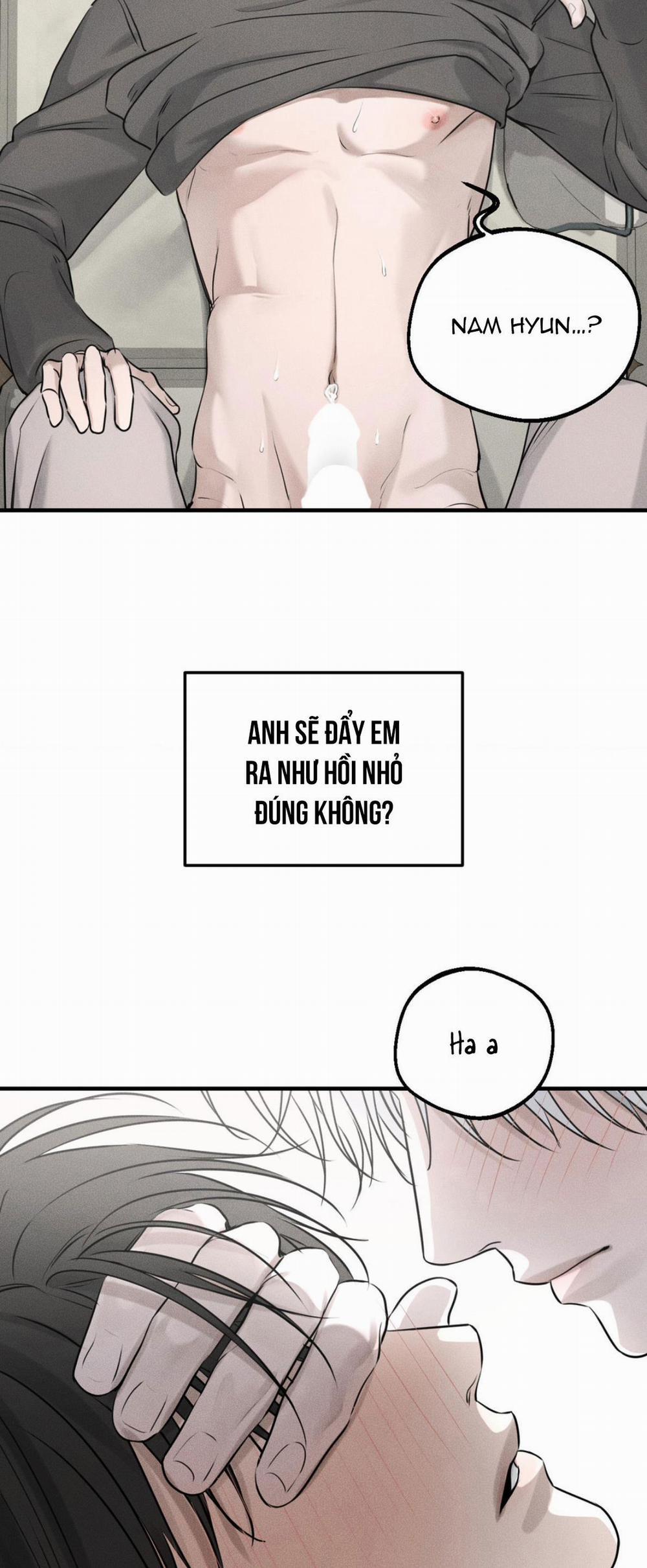 DEAR, TEDDY BEAR 10 trang 24