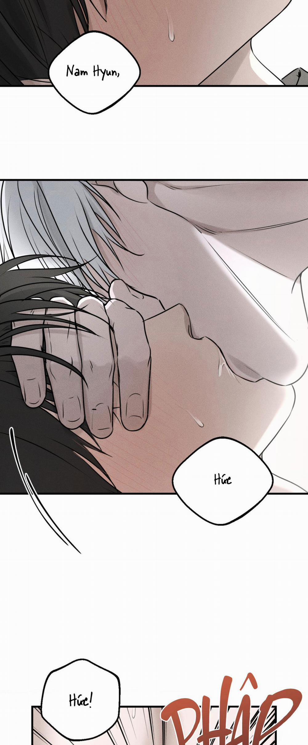 DEAR, TEDDY BEAR 10 trang 25