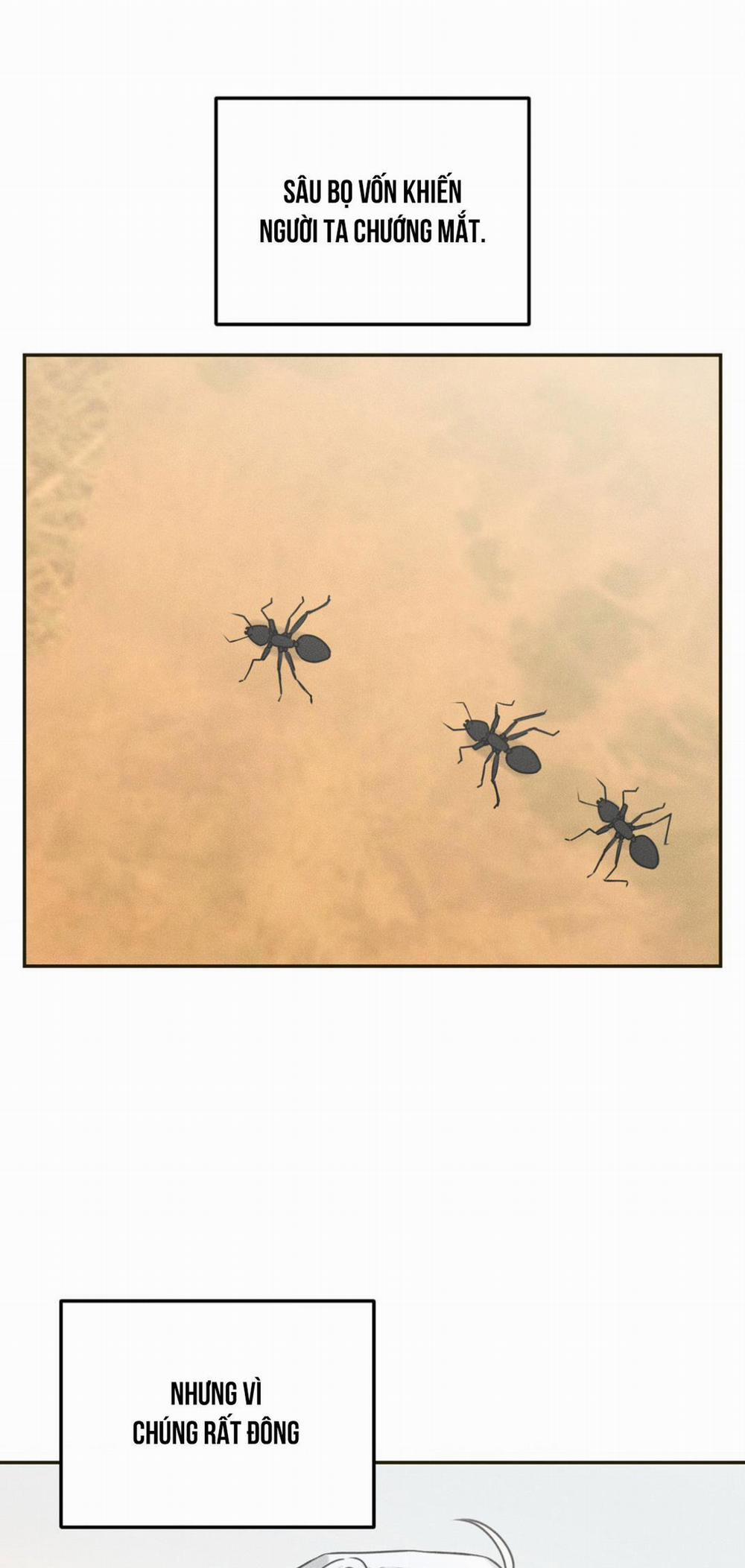 DEAR, TEDDY BEAR 11 trang 1