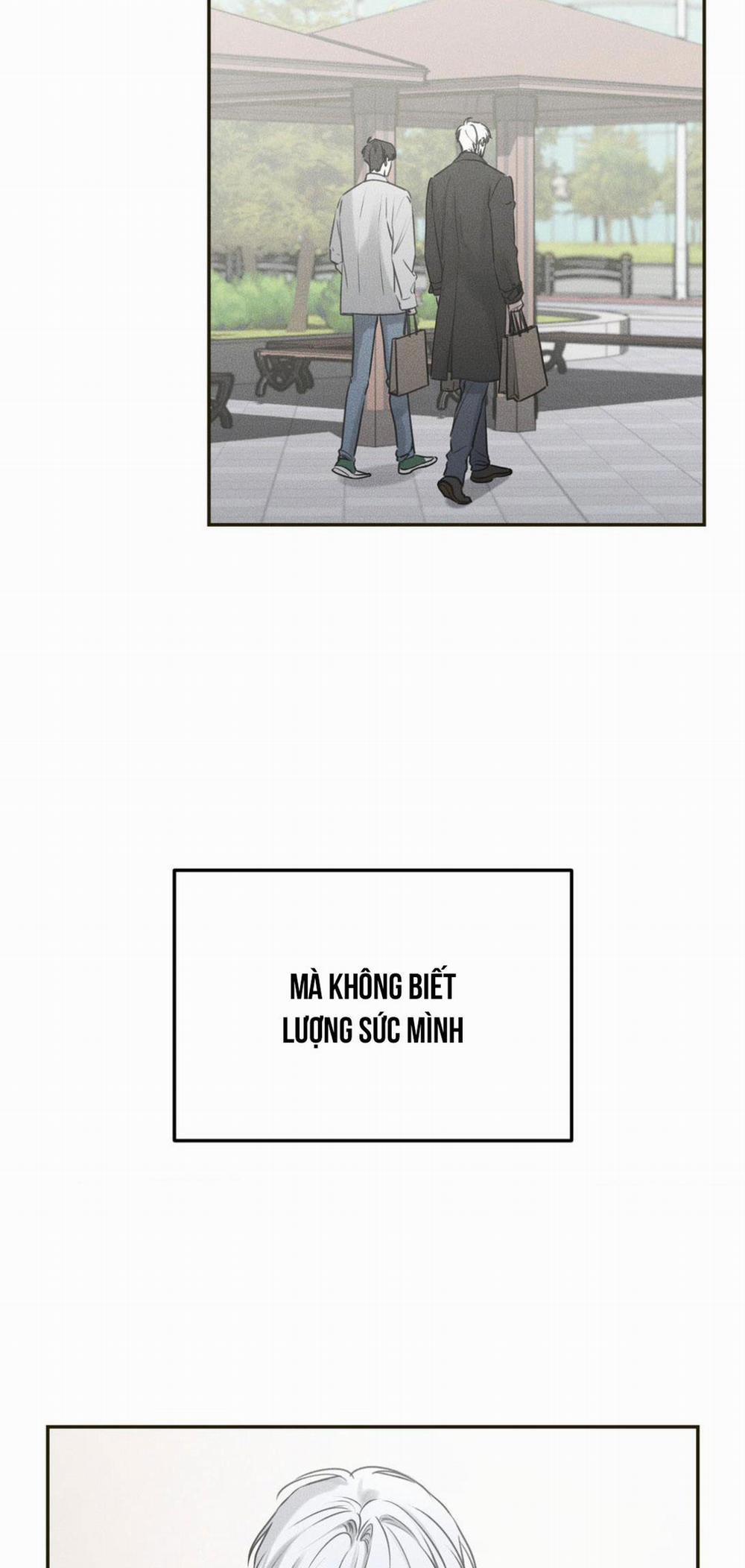 DEAR, TEDDY BEAR 11 trang 8