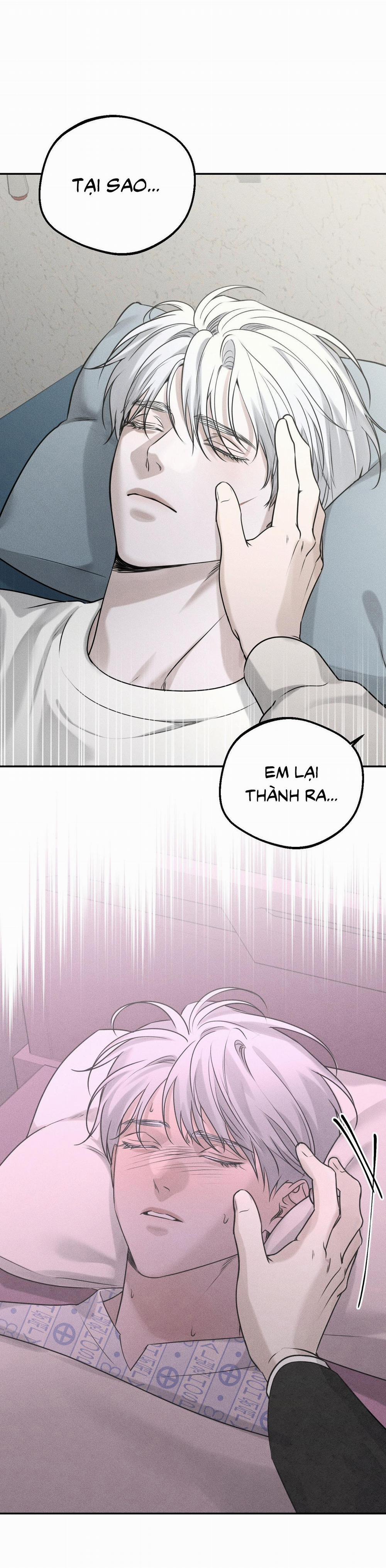 DEAR, TEDDY BEAR 20 trang 14