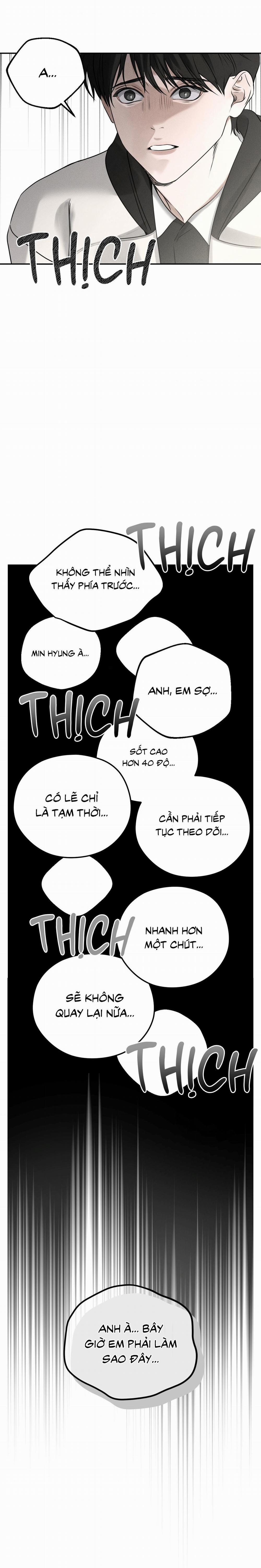 DEAR, TEDDY BEAR 20 trang 15