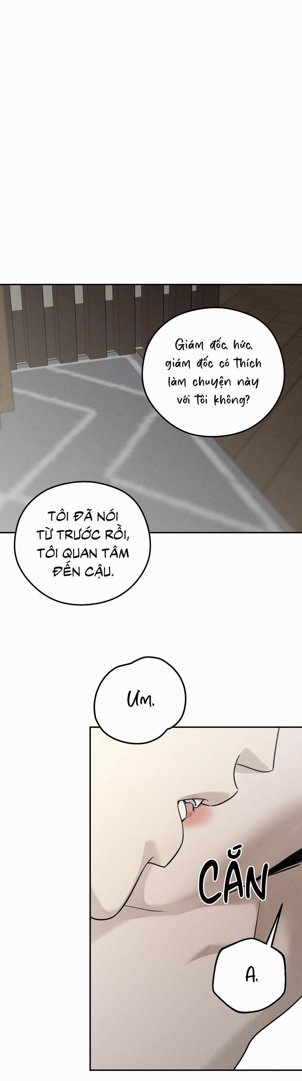 DEAR, TEDDY BEAR 23 trang 21