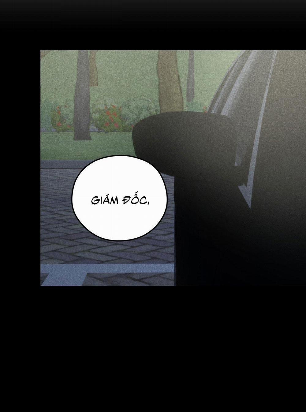 DEAR, TEDDY BEAR 24 trang 28