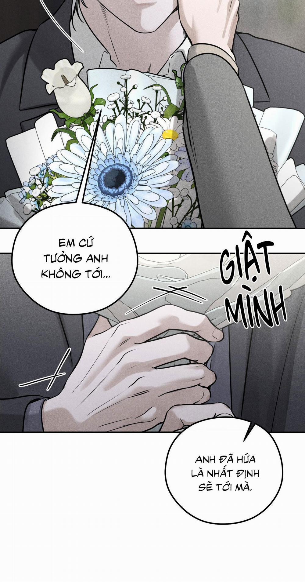 DEAR, TEDDY BEAR 24 trang 8