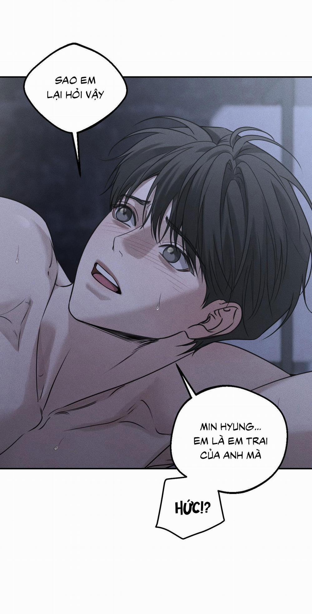 DEAR, TEDDY BEAR 25 trang 21