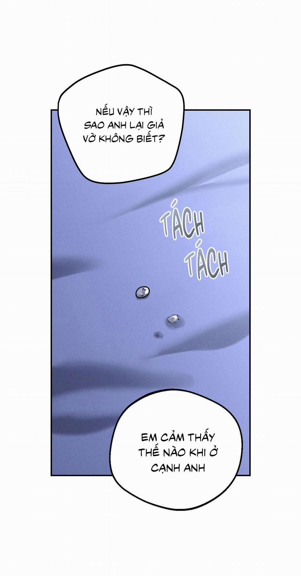 DEAR, TEDDY BEAR 25 trang 43