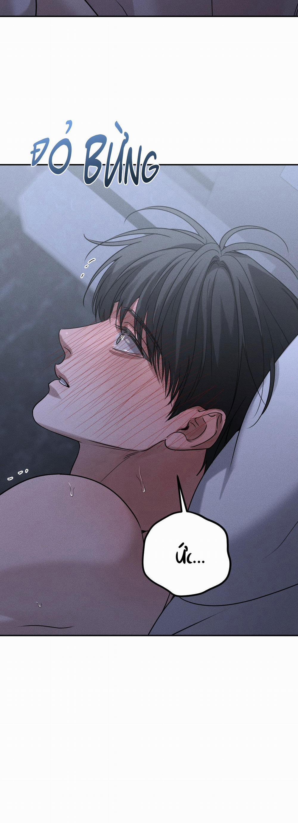 DEAR, TEDDY BEAR 26 trang 25