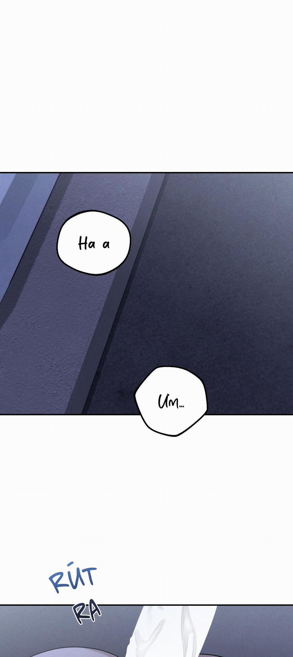 DEAR, TEDDY BEAR 27 trang 0