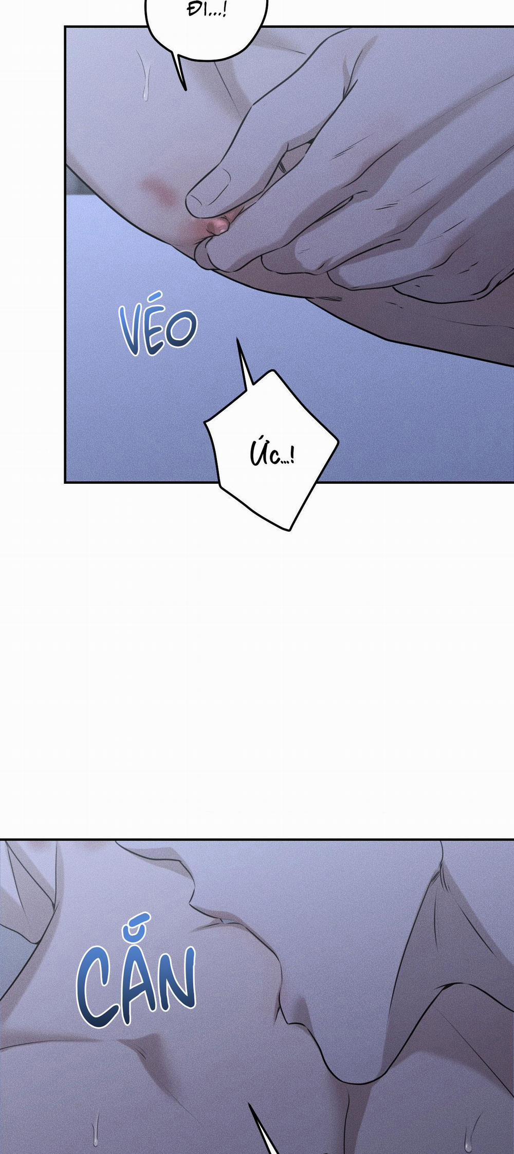 DEAR, TEDDY BEAR 27 trang 4