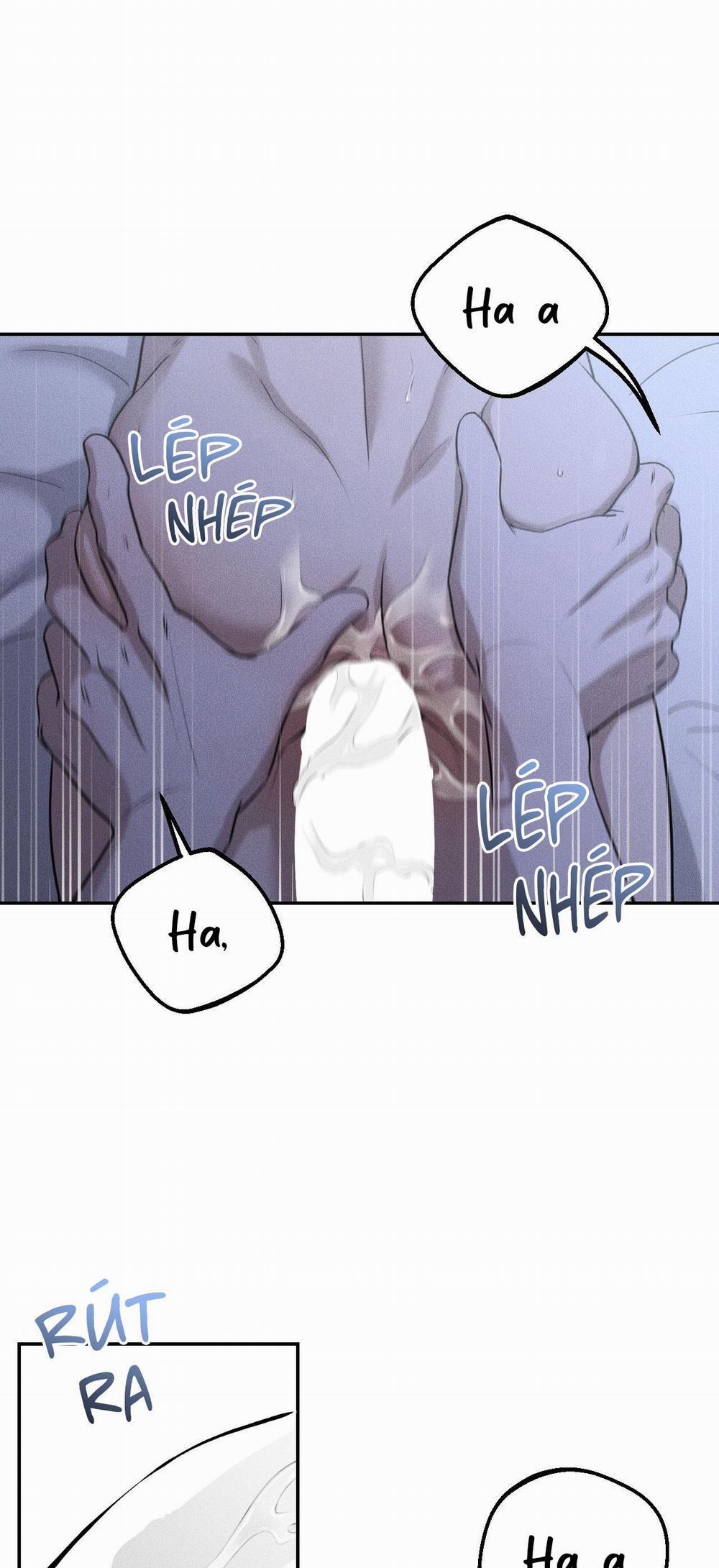 DEAR, TEDDY BEAR 27 trang 43