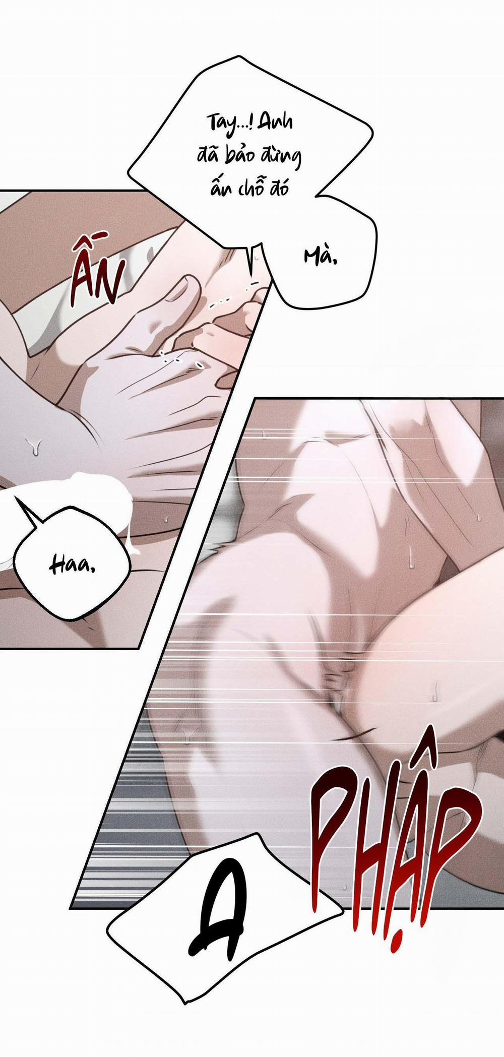 DEAR, TEDDY BEAR 29 trang 31