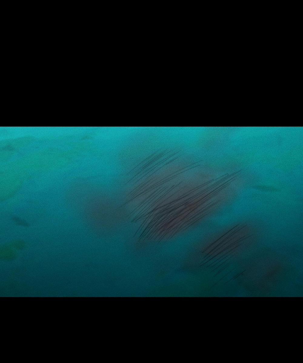 DEAR, TEDDY BEAR 30 trang 57