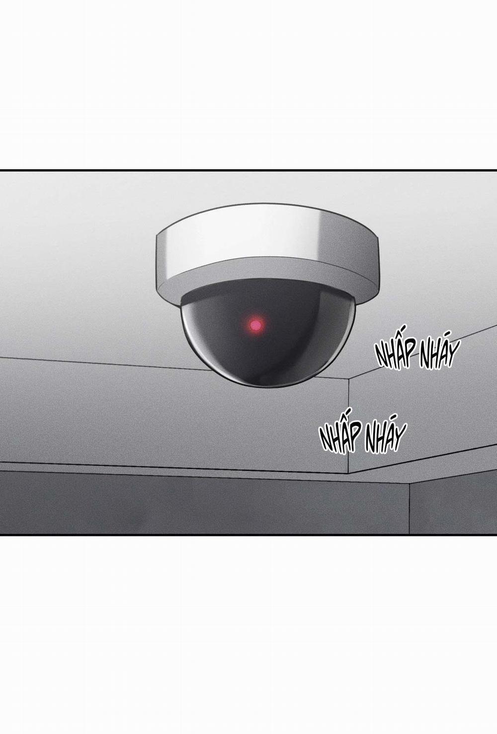 DEAR, TEDDY BEAR 32 trang 33