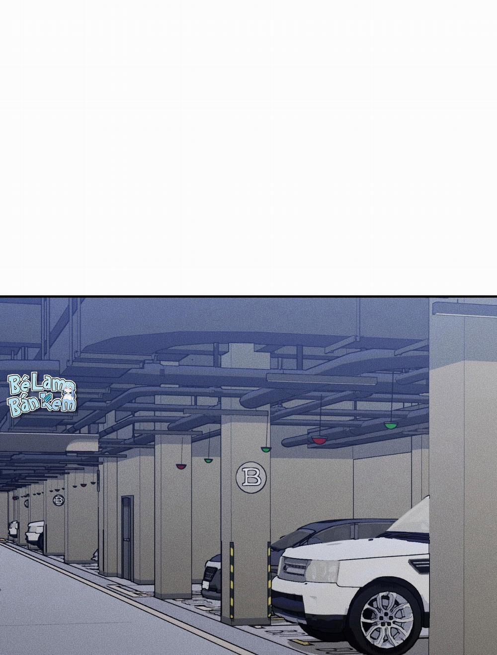 DEAR, TEDDY BEAR 37 trang 28