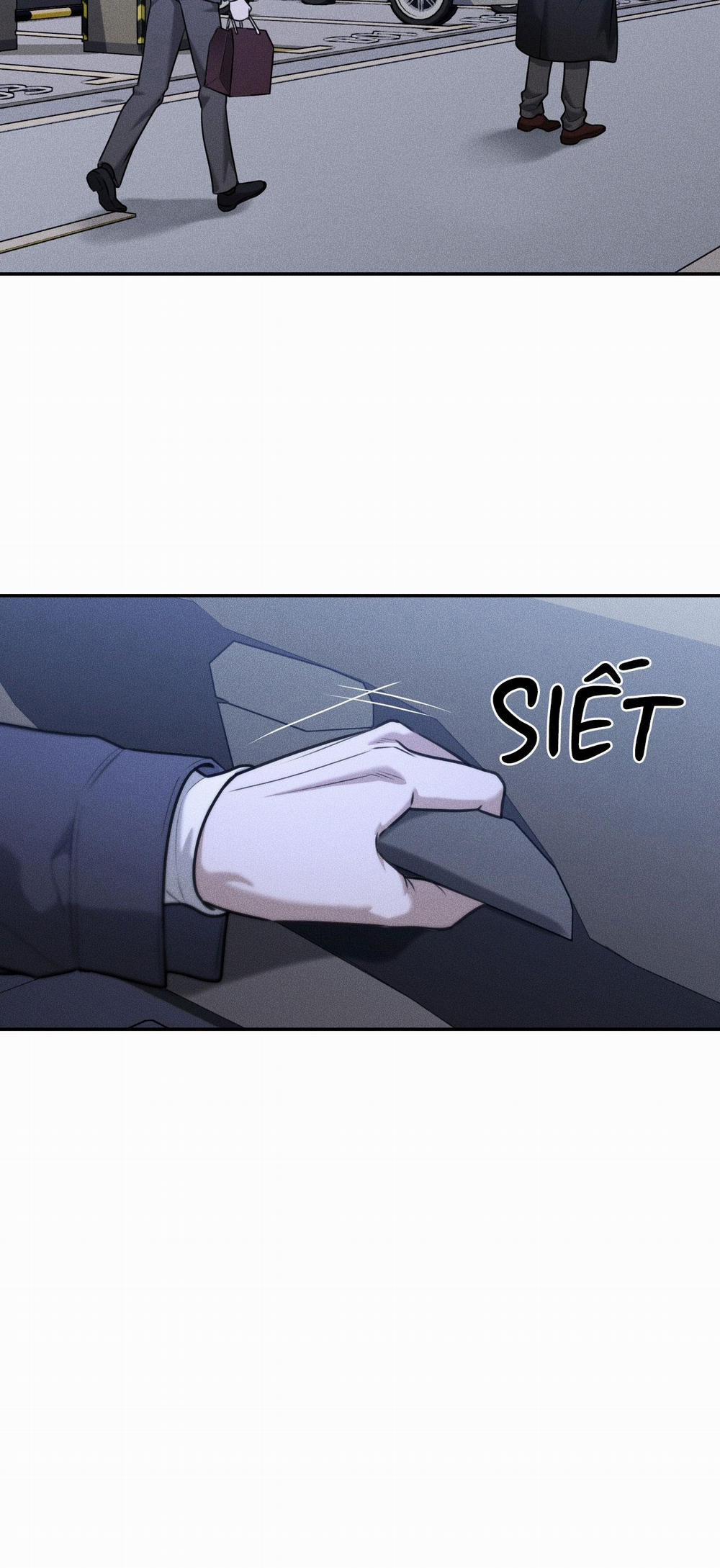 DEAR, TEDDY BEAR 37 trang 33