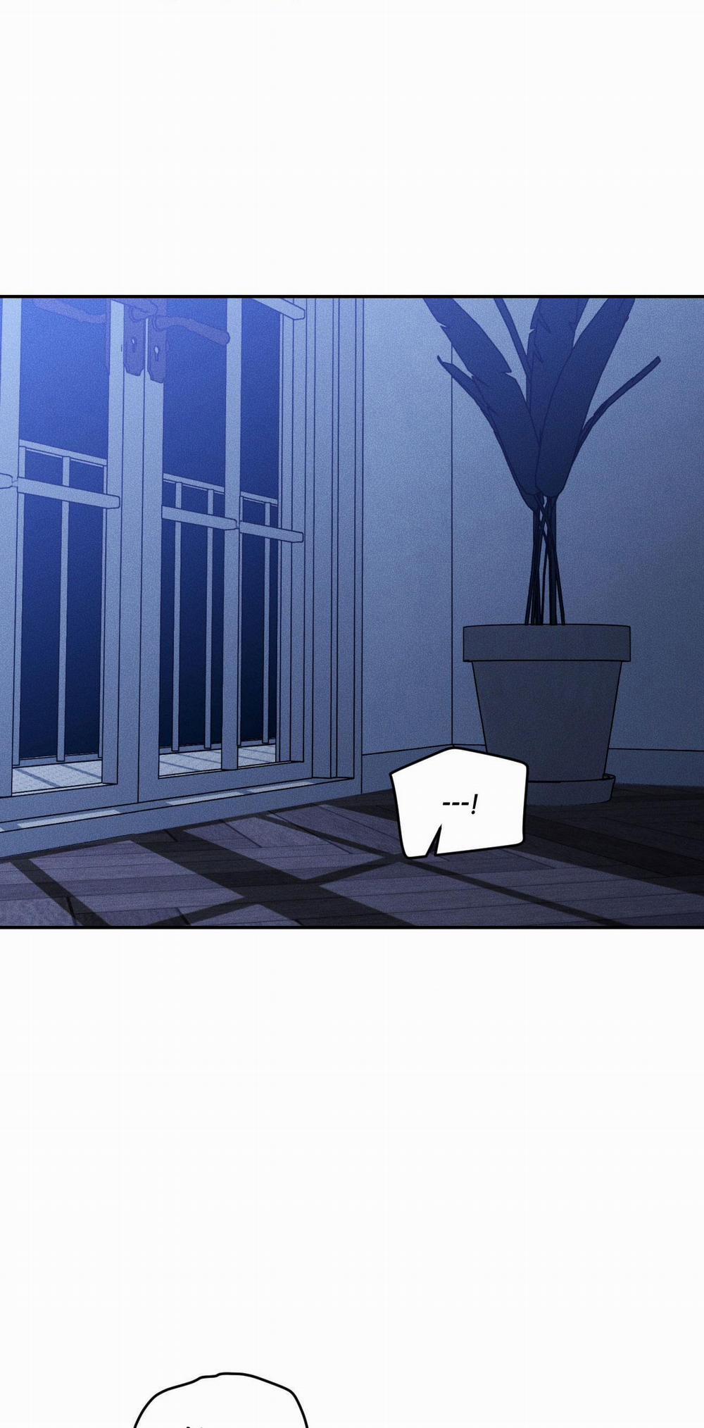 DEAR, TEDDY BEAR 40 trang 1