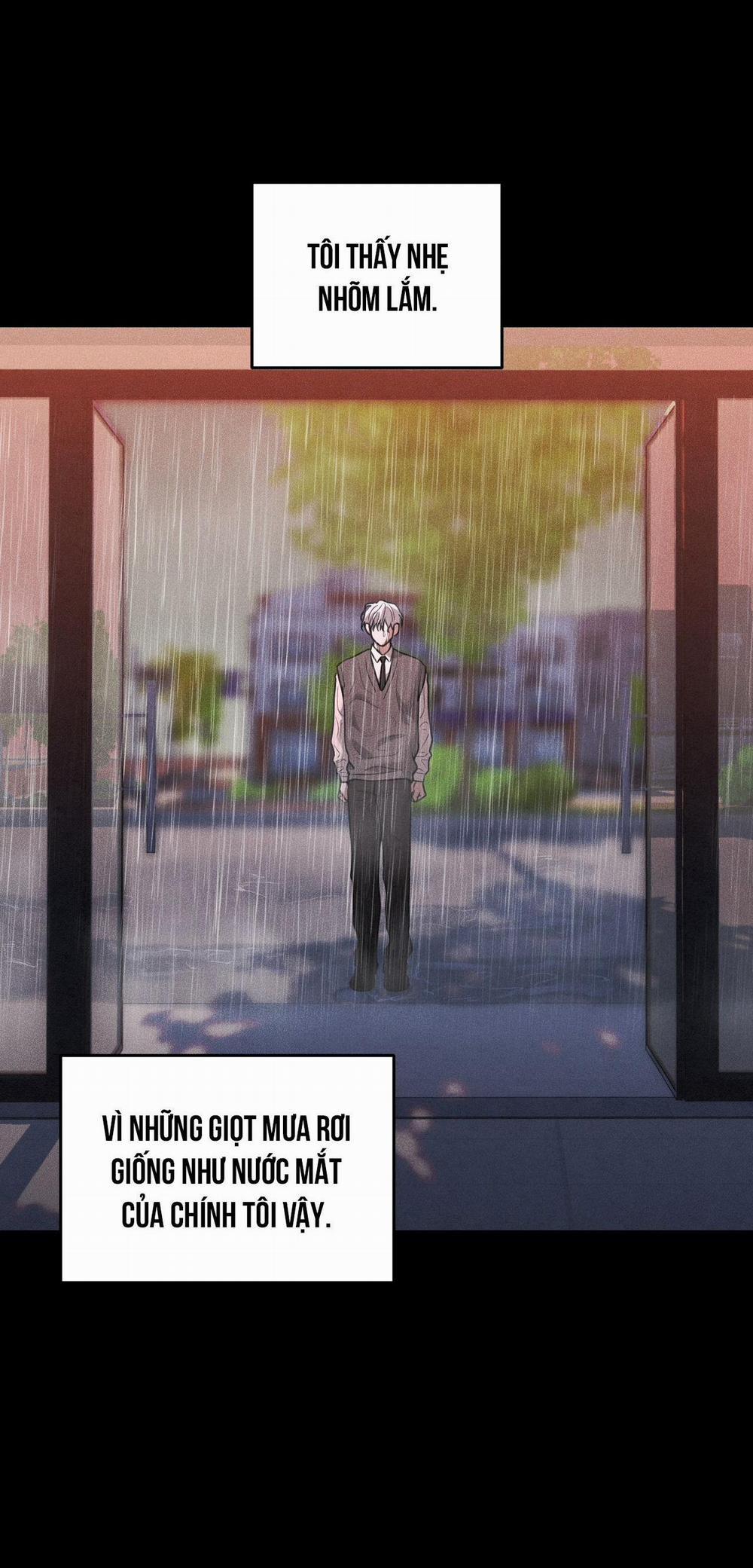 DEAR, TEDDY BEAR 41 trang 13