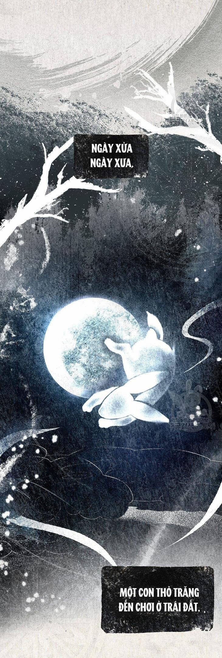 Debut Or Die 45.1 trang 22