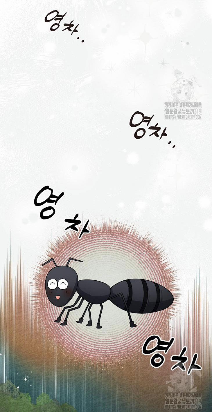 Debut Or Die 55.2 trang 15