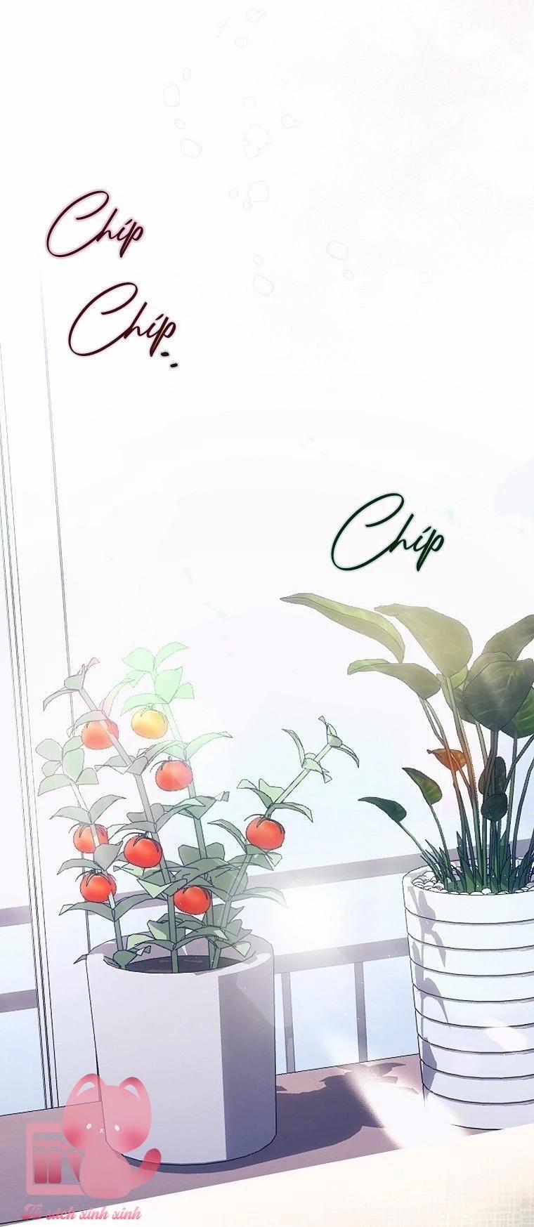 Debut Or Die 65.5 trang 34