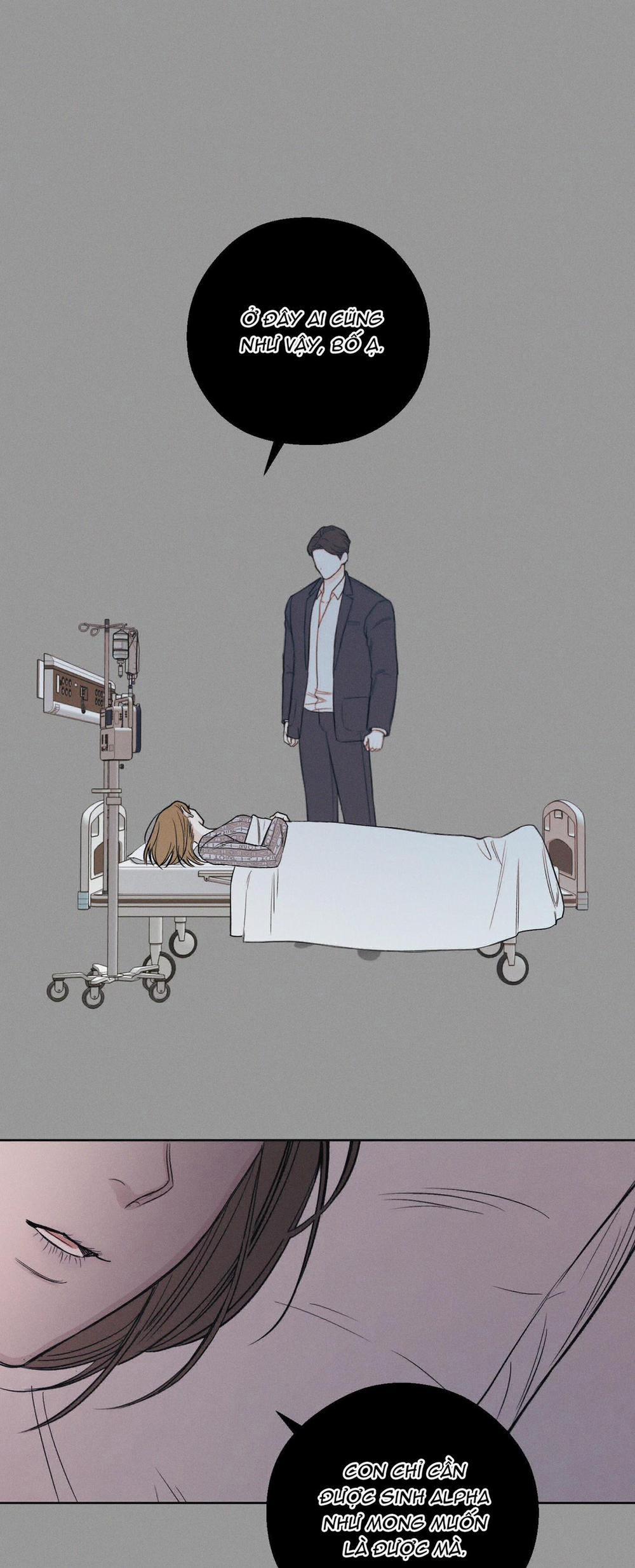 December 31 trang 16