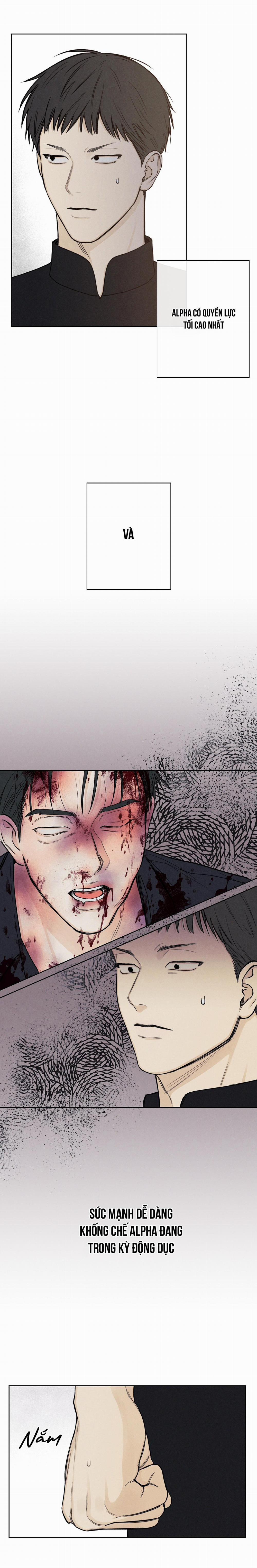 December 33 trang 15