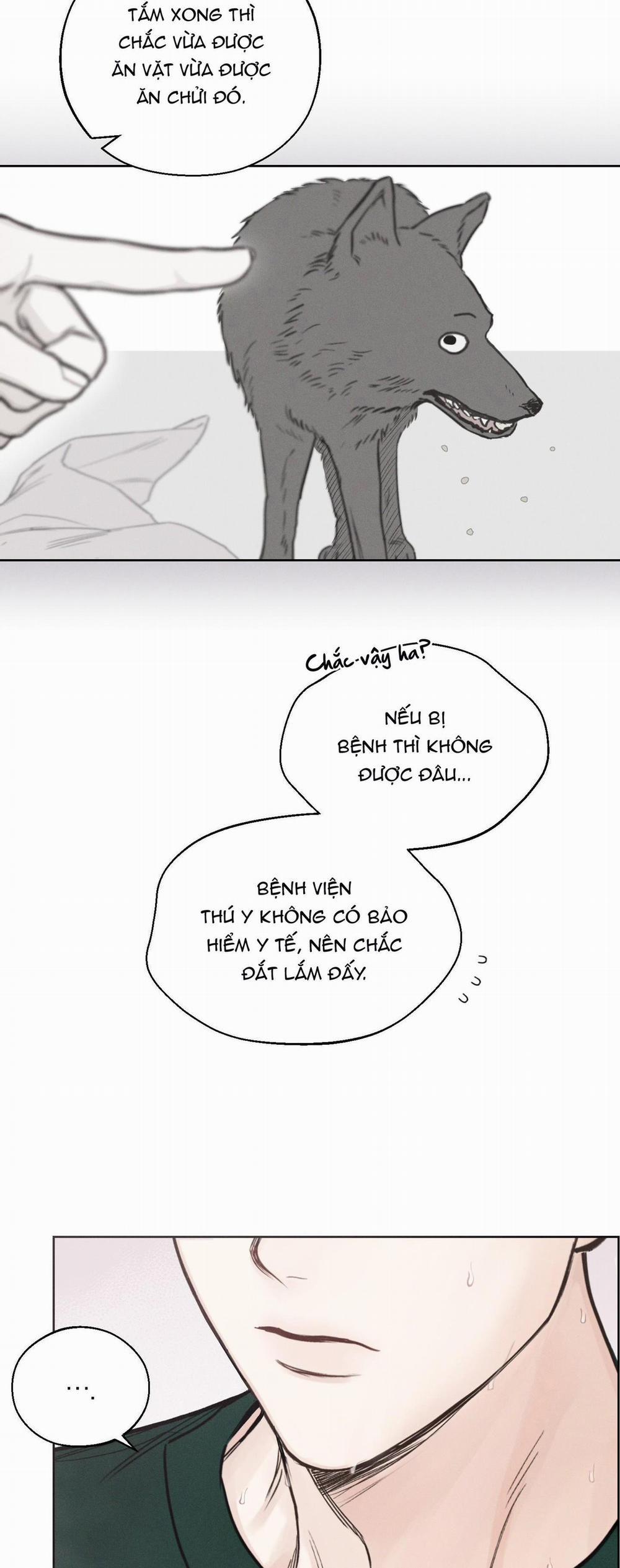 December 36 trang 11