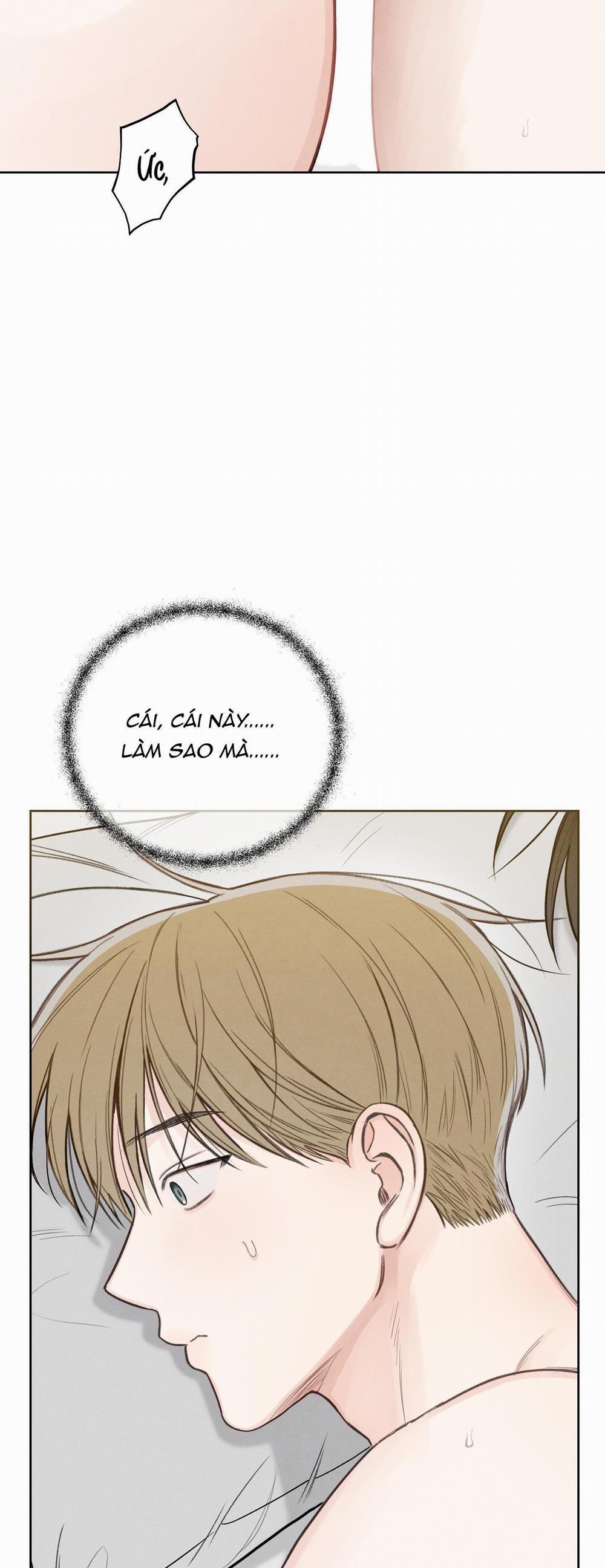 December 38 trang 40