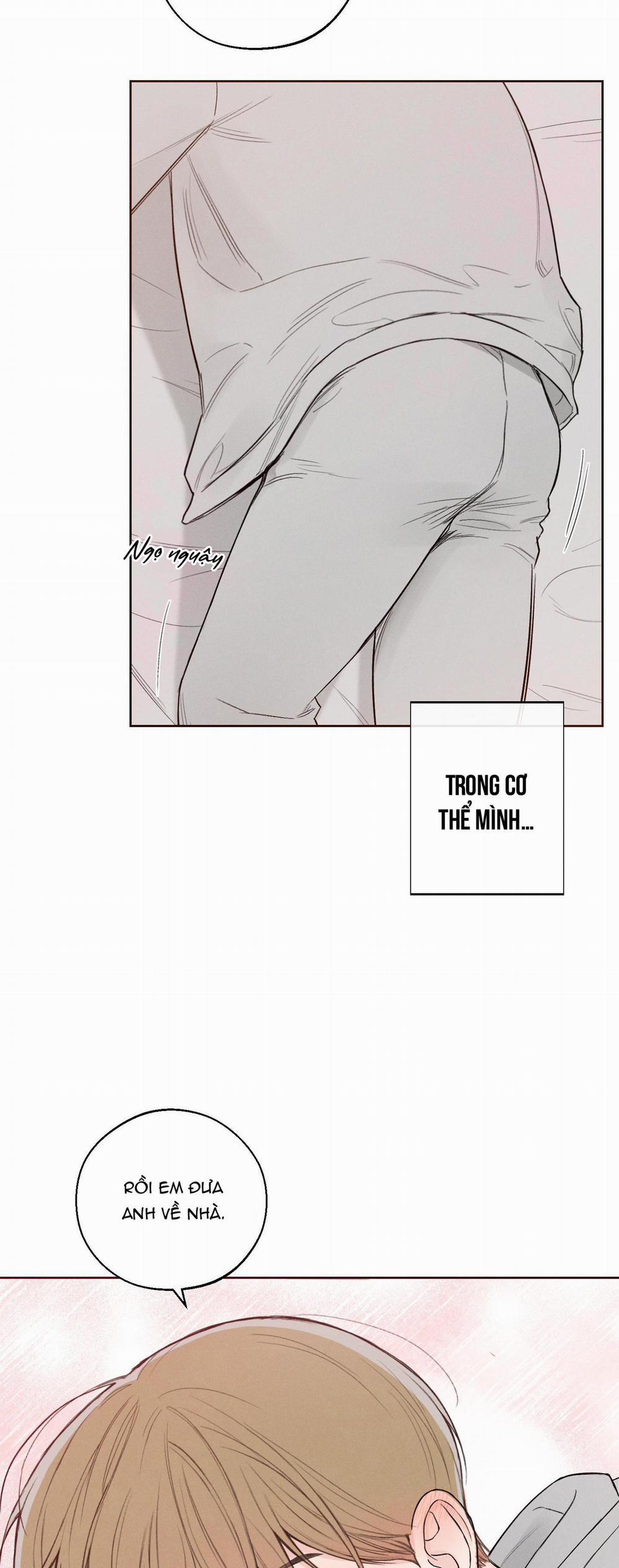 December 41 trang 11