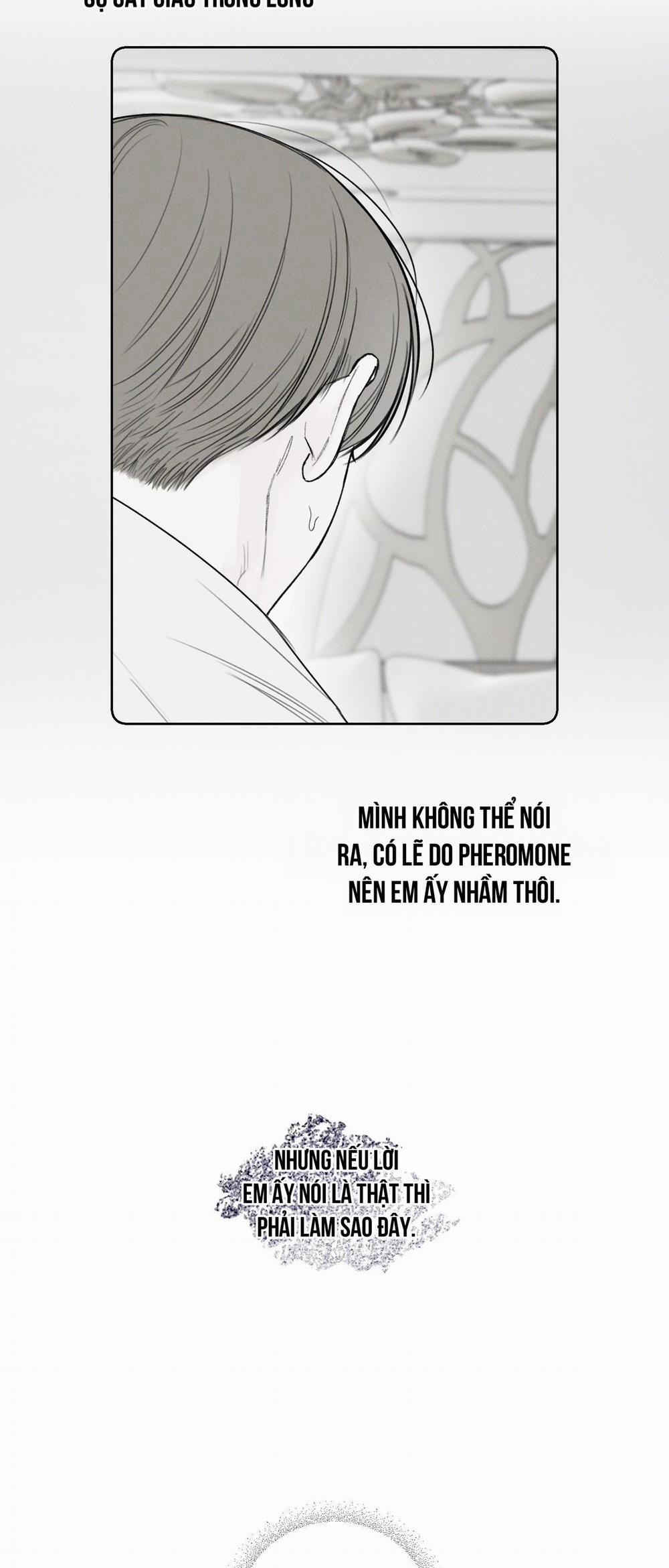 December 41 trang 33