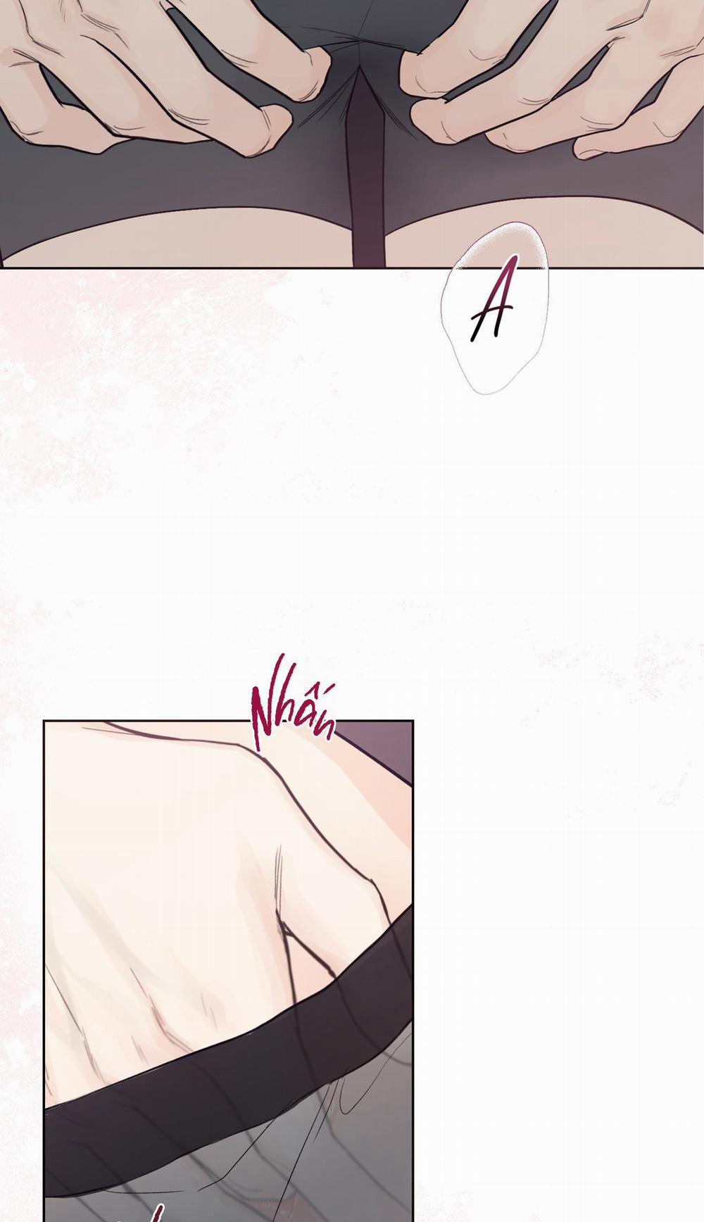 December 44 trang 17