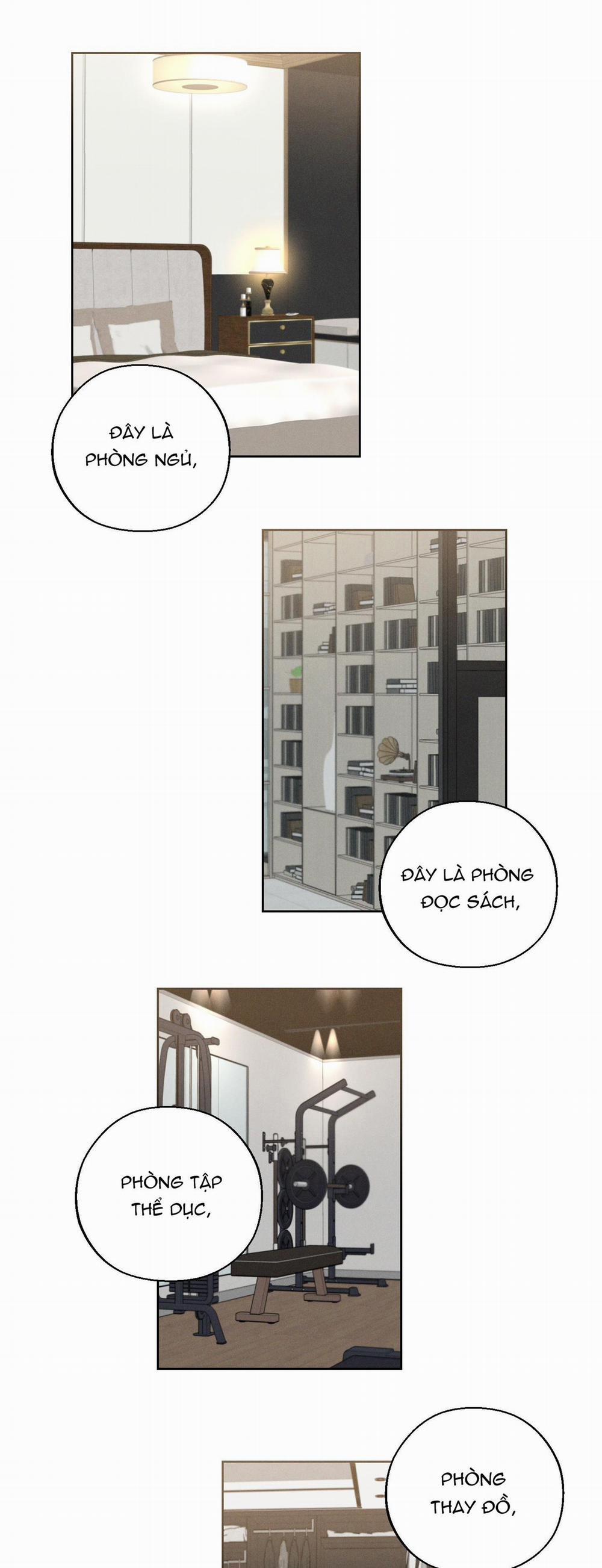 December 46 trang 12