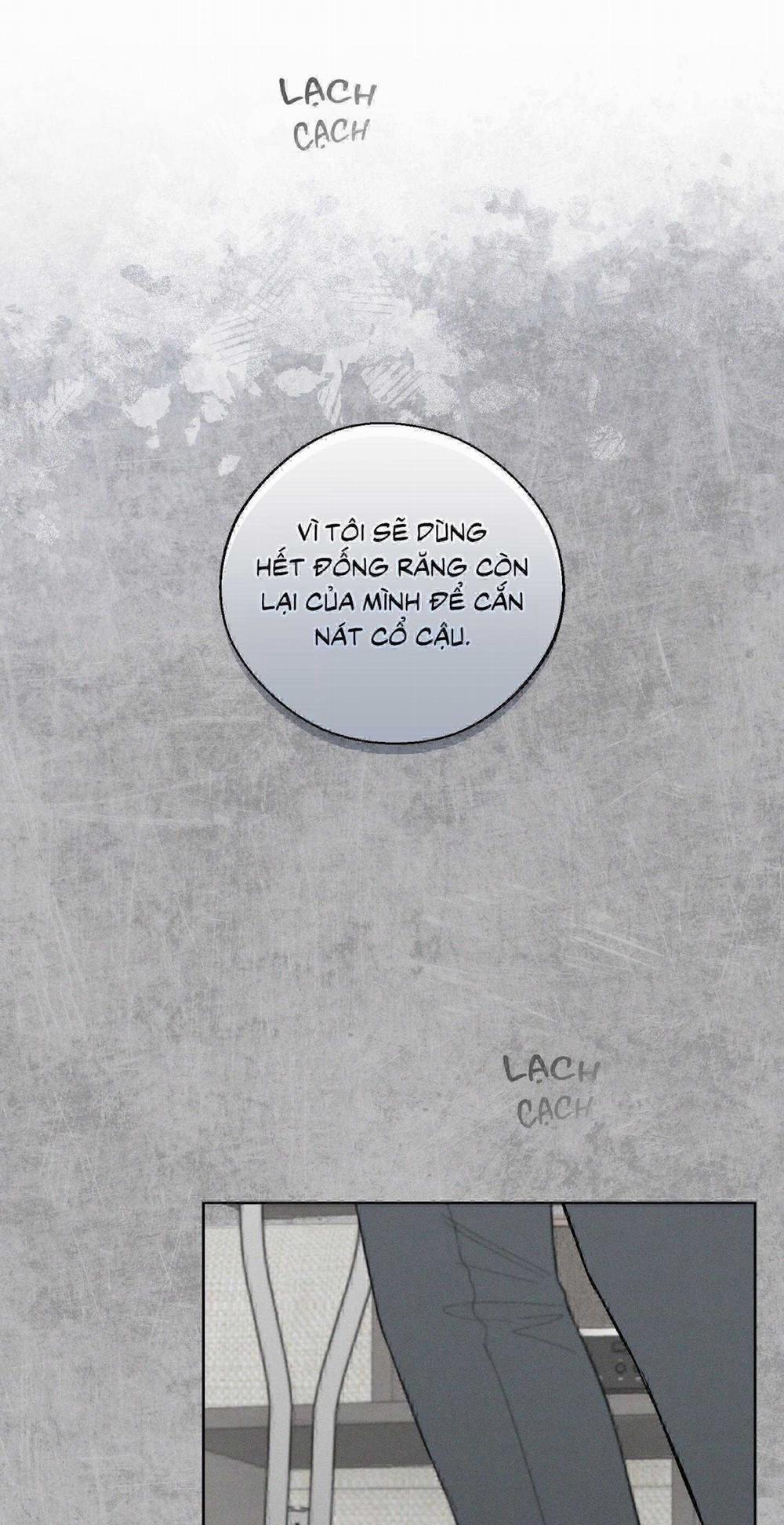 December 50 trang 20