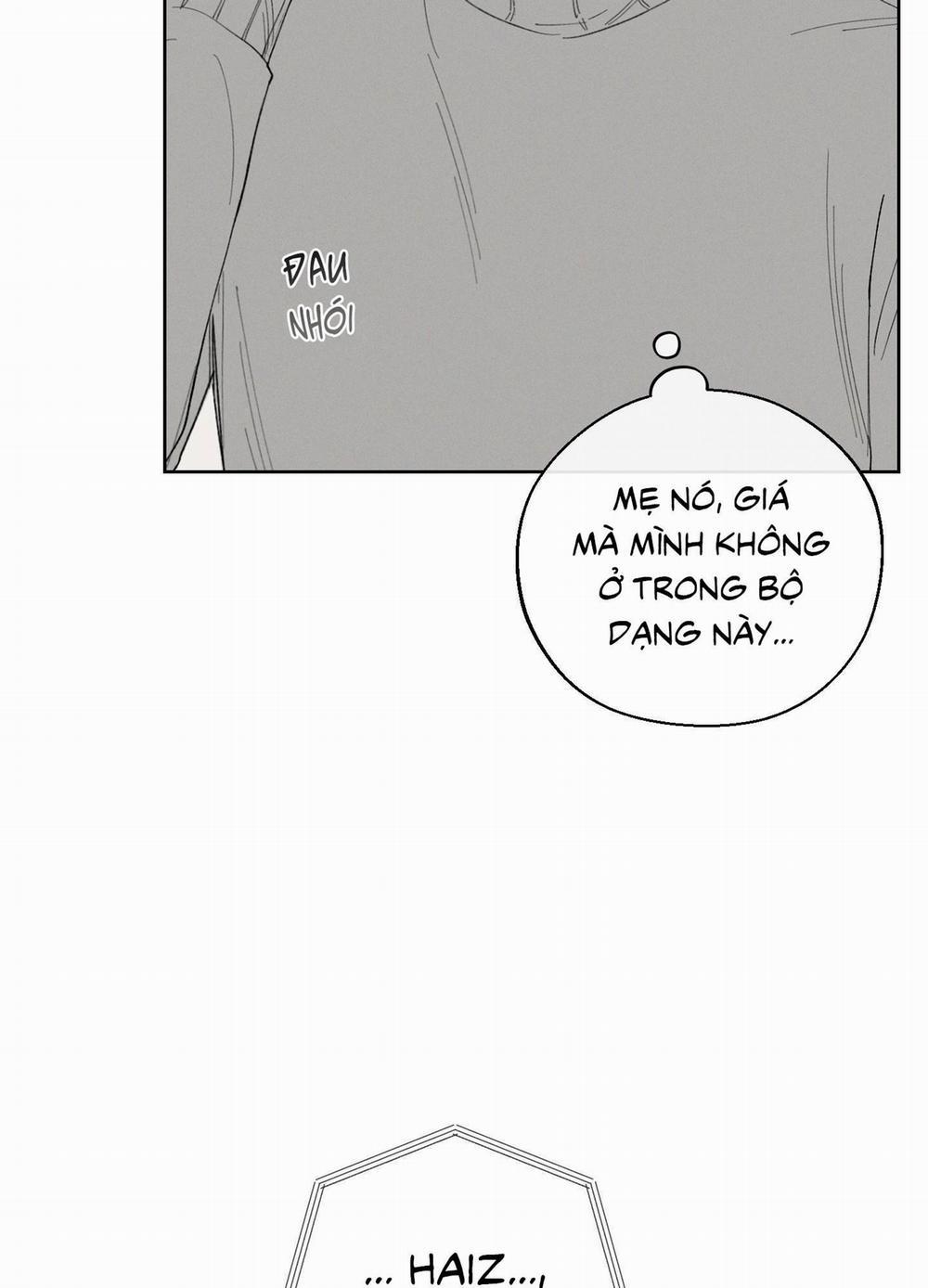 December 51 trang 37