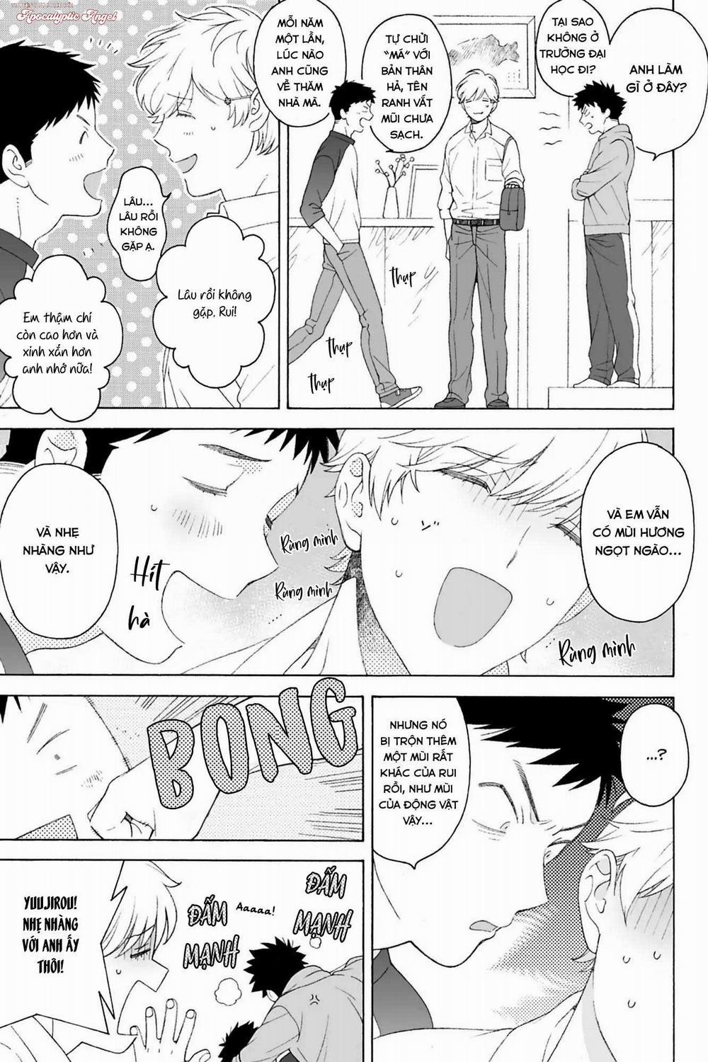 Dekoboko Sugar Days 8.1 0 0 trang 20