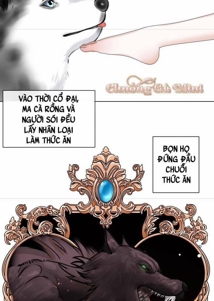 Đêm Ái Muội Cùng Ma Cà Rồng 6.1 trang 24