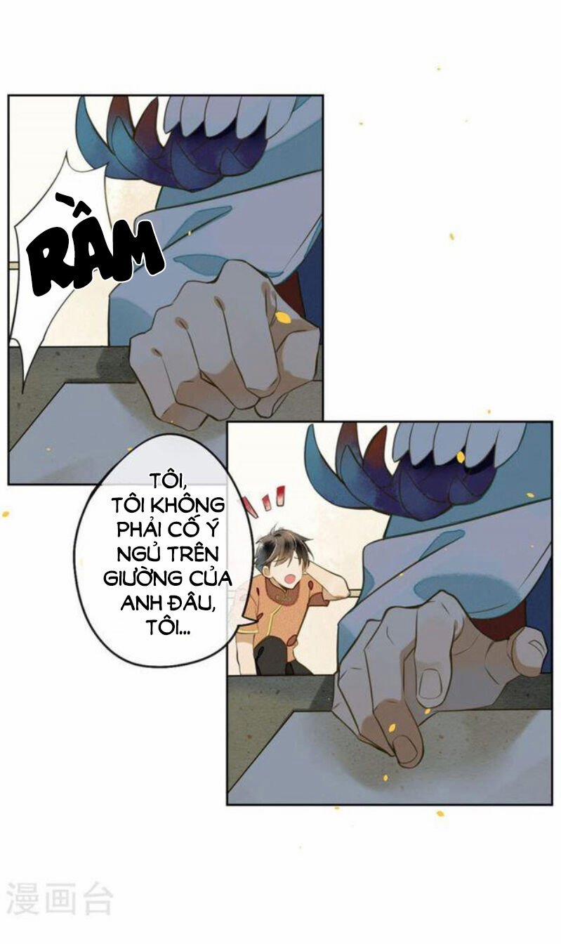 Đêm Ảo Mộng Cực Lạc 17 trang 8