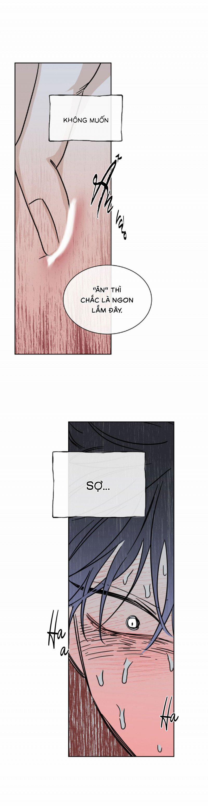 Đêm Bên Bờ Biển 24.5 trang 0