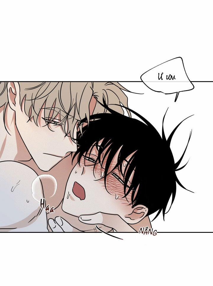 Đêm Bên Bờ Biển 26.5 trang 16