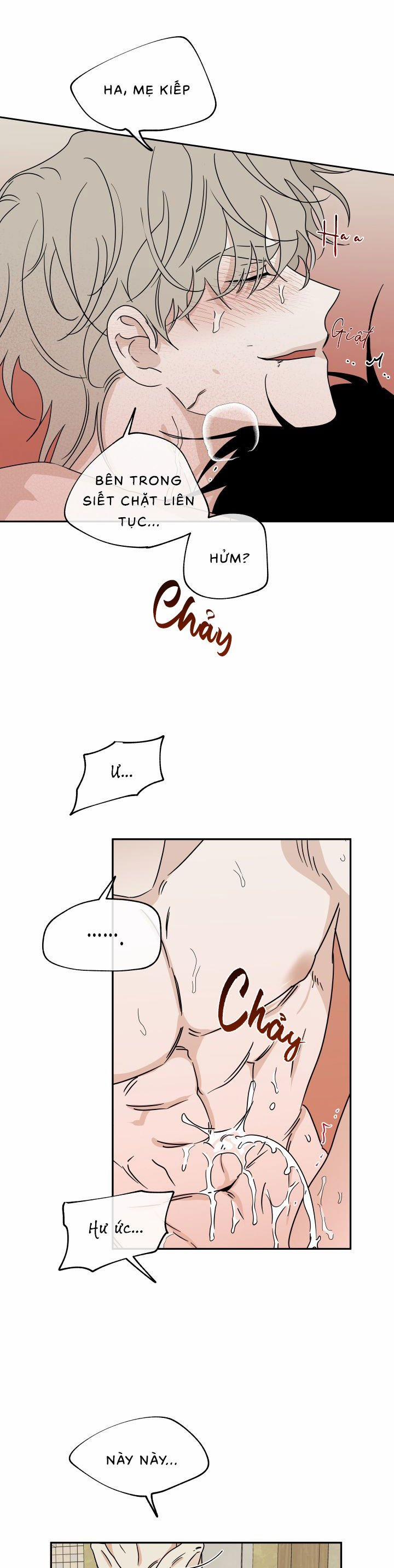 Đêm Bên Bờ Biển 28.5 trang 5