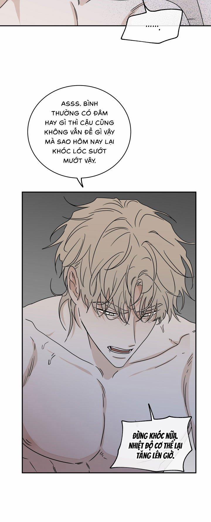 Đêm Bên Bờ Biển 28 trang 5