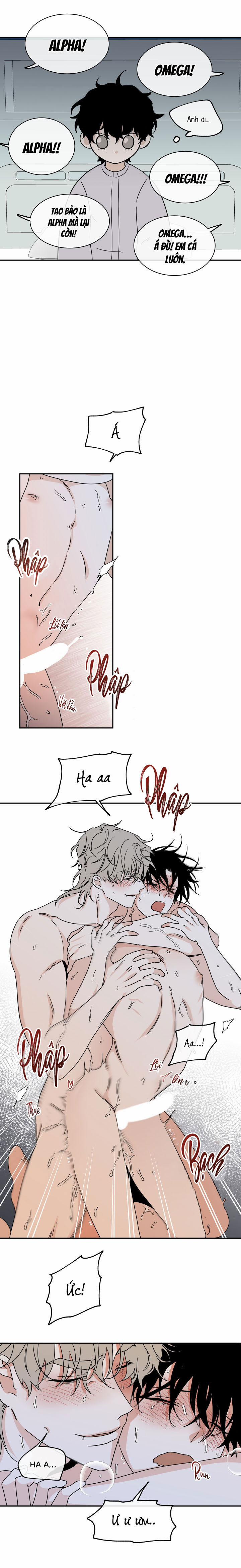 Đêm Bên Bờ Biển 29.5 trang 0